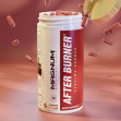 AFTER BURNER