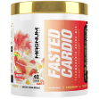 FASTED CARDIO Miami Vice