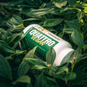 VEGAN QUATTRO 900 g Vanilla